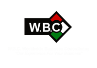 Worldwide Business Consultancy Logo
